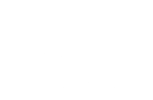 Mass Save Program
